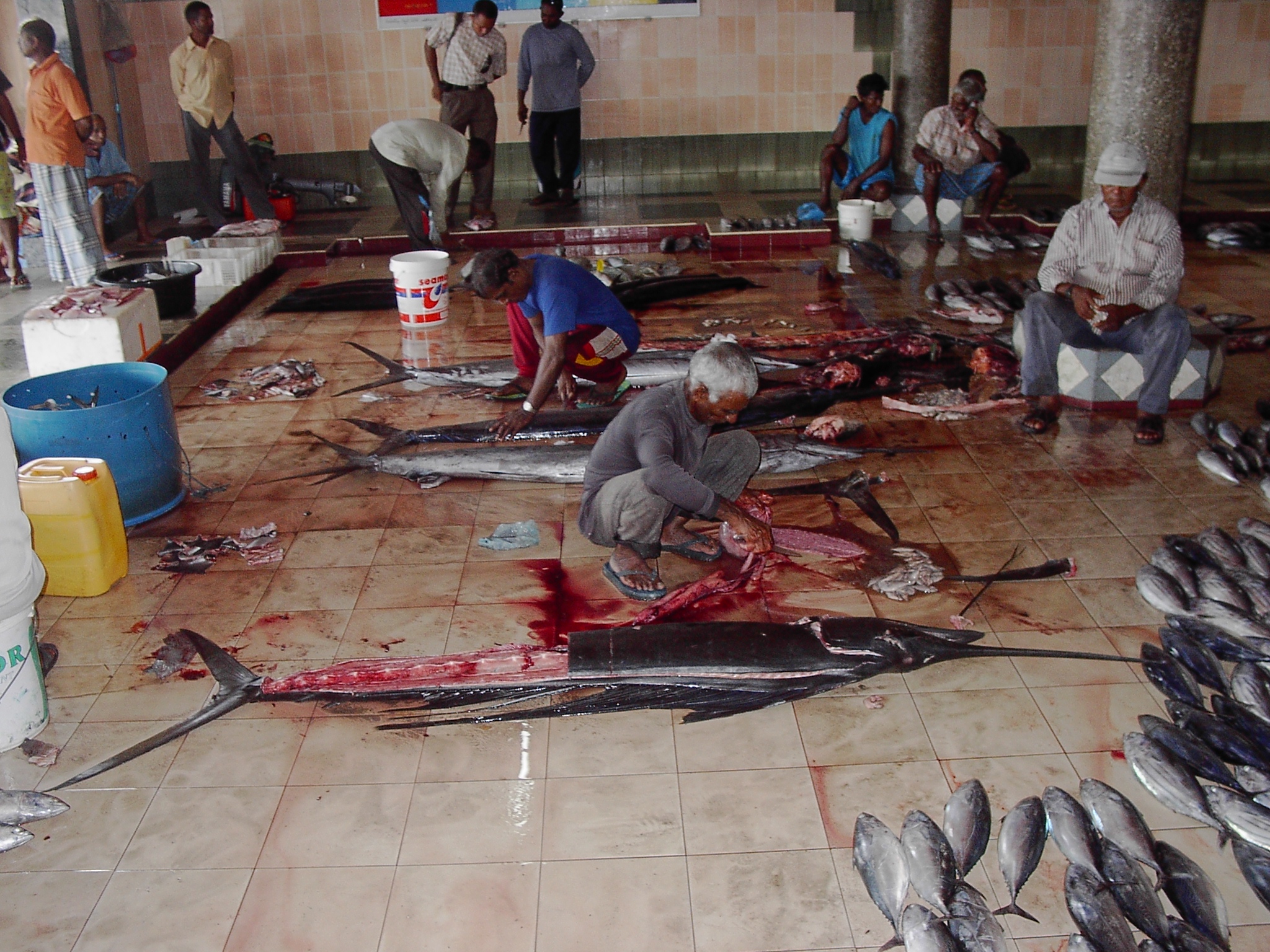 Malé Fish Market: A Real Local Experience in the Capital